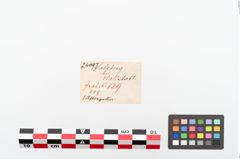 Etiketten zu Astragal (NHMW-PRAE-024097)